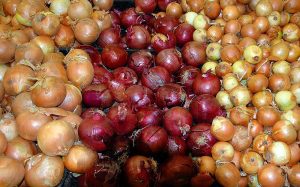 cipolla, cipolle, onions, onion, cipolla di tropea, antitumorale