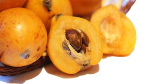 nespole, nespola, le nespole, frutta di primavera, frutta arancione