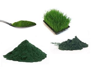 Superfood verdi, supercibi, alghe, erba di grano, clorofilla, verde