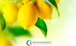 proprietà del limone, giallo, agrumi
