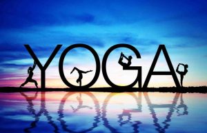 quale yoga, tipi di yoga, yoga, hatha yoga, meditazione
