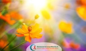 equinozio primavera, fiori, fioritura, sole