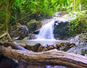 acqua di roccia, cascata, rock water
