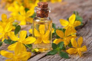 olio di iperico, oleolito, oleolito di iperico, olio di iperico, iperico,Hypericum perforatum, scottature, eritemi, iperico, erba di san giovanni