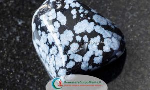 Ossidiana fiocco di neve