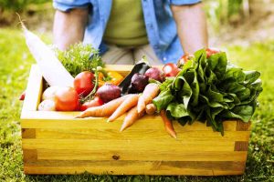 ortaggi freschi, dieta ecosostenibile