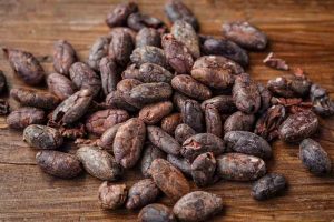 fave di cacao, semi di cacao, cacao crudo, fave di cacao proprietà, fave di cacao controindicazioni