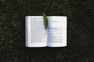 libro, destino, natura