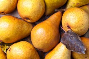 pere, albero di pere, pero, pera, proprietà delle pere, ,pere proprietà,