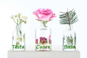 oli essenziali, note aromatiche