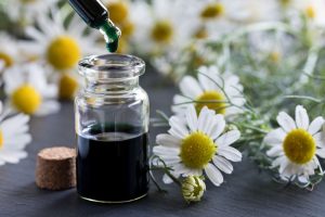 camomilla, olio essenziale, aromaterapia