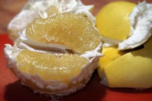 pomelo, citrus maxima,