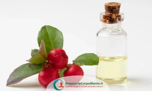 olio essenziale di wintergreen, wintergreen