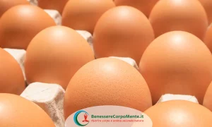 come conservare le uova e i falsi miti sulle uova
